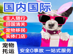荆州沙市航空运输国际宠物托运 【国